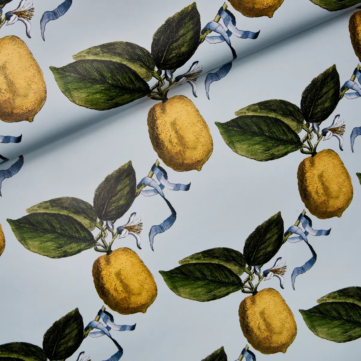 LE CITRON_ SKY
