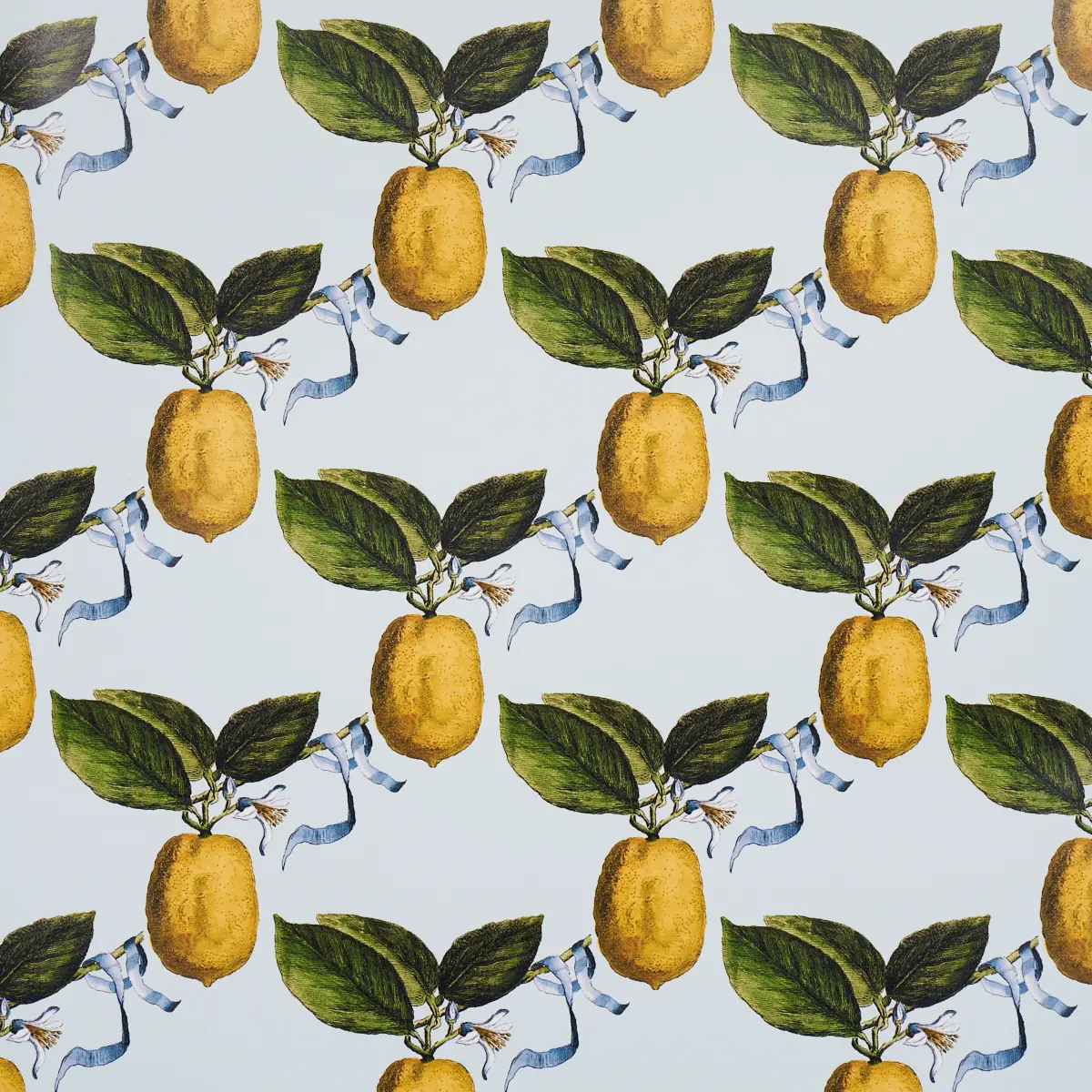 LE CITRON_ SKY