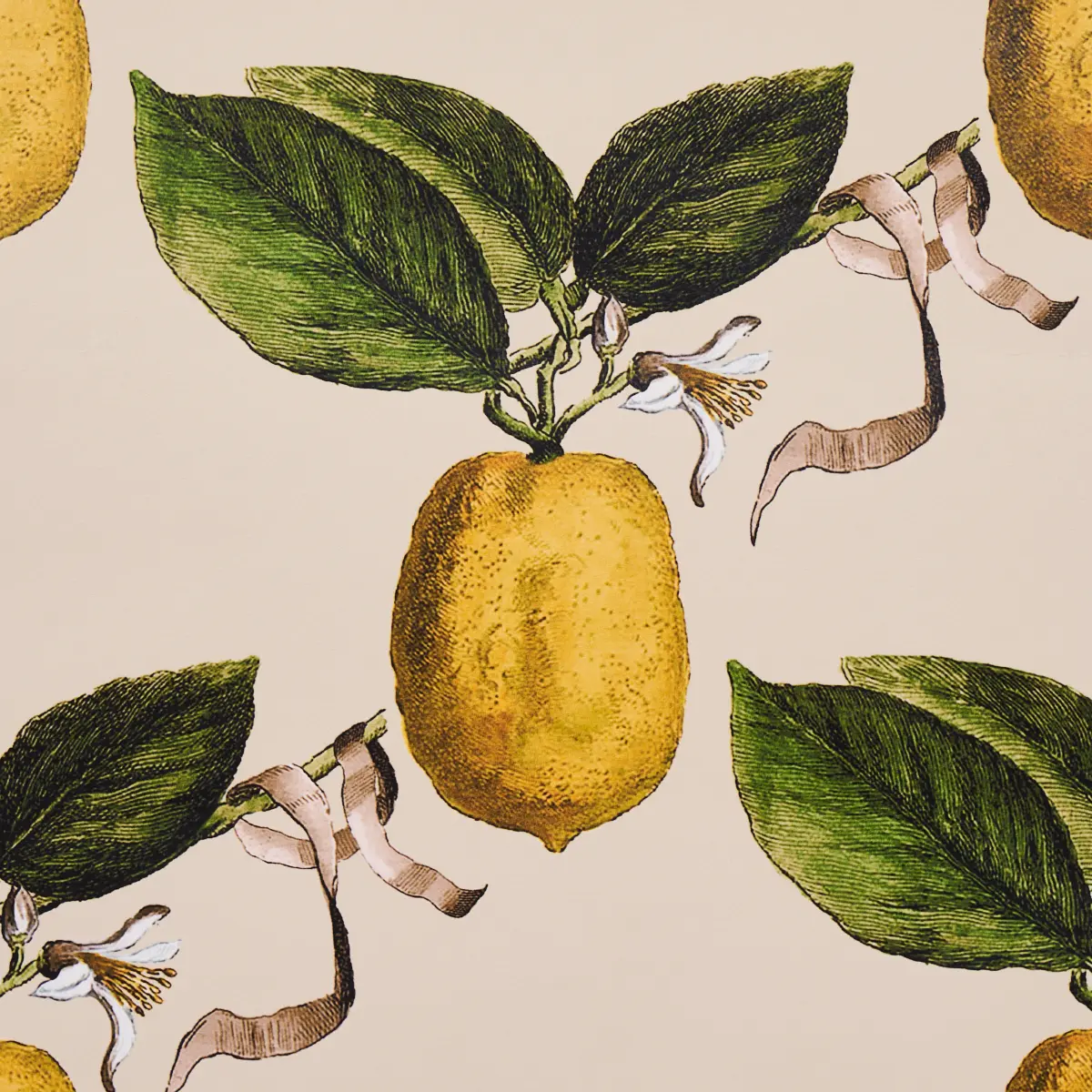 LE CITRON_ NATURAL