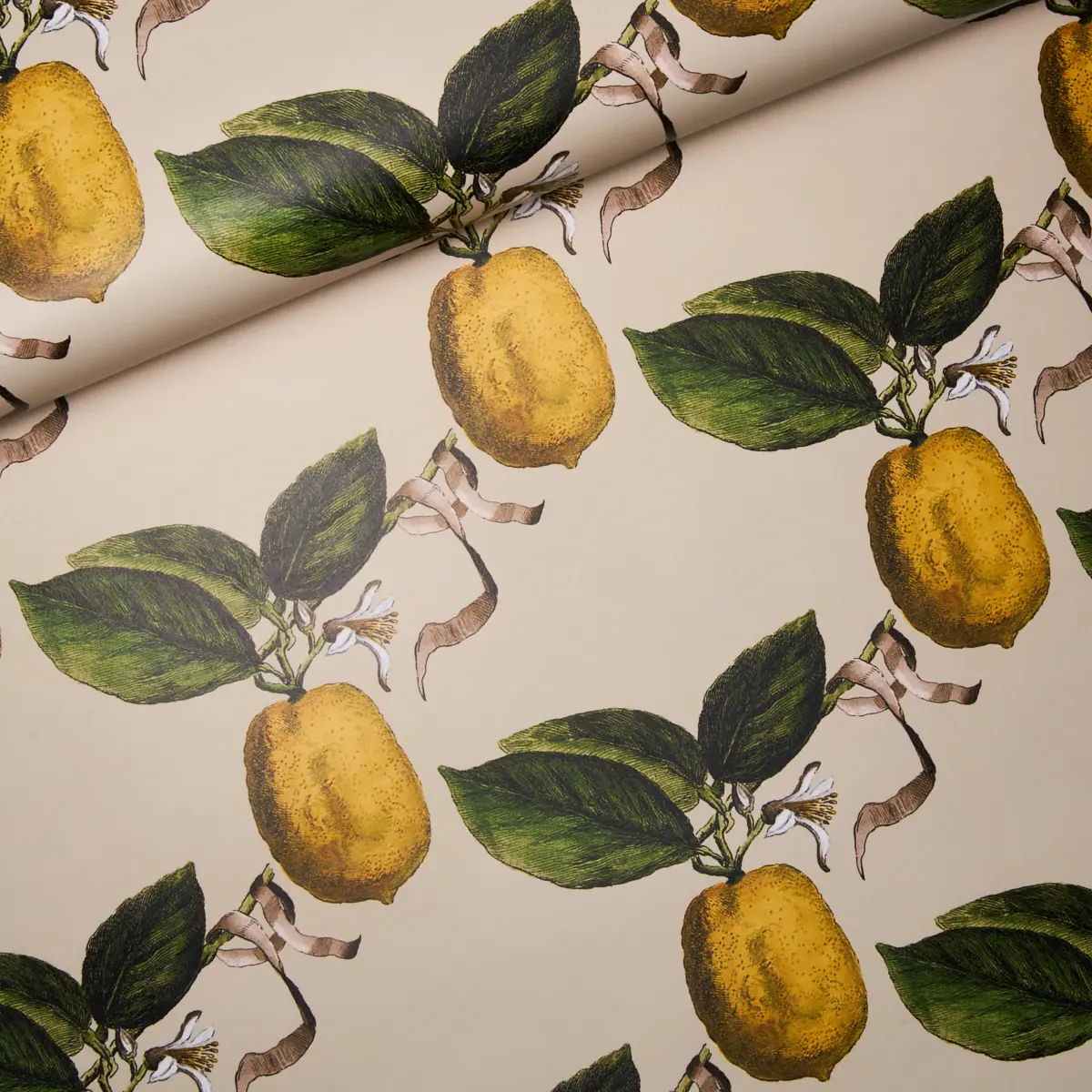 LE CITRON_ NATURAL