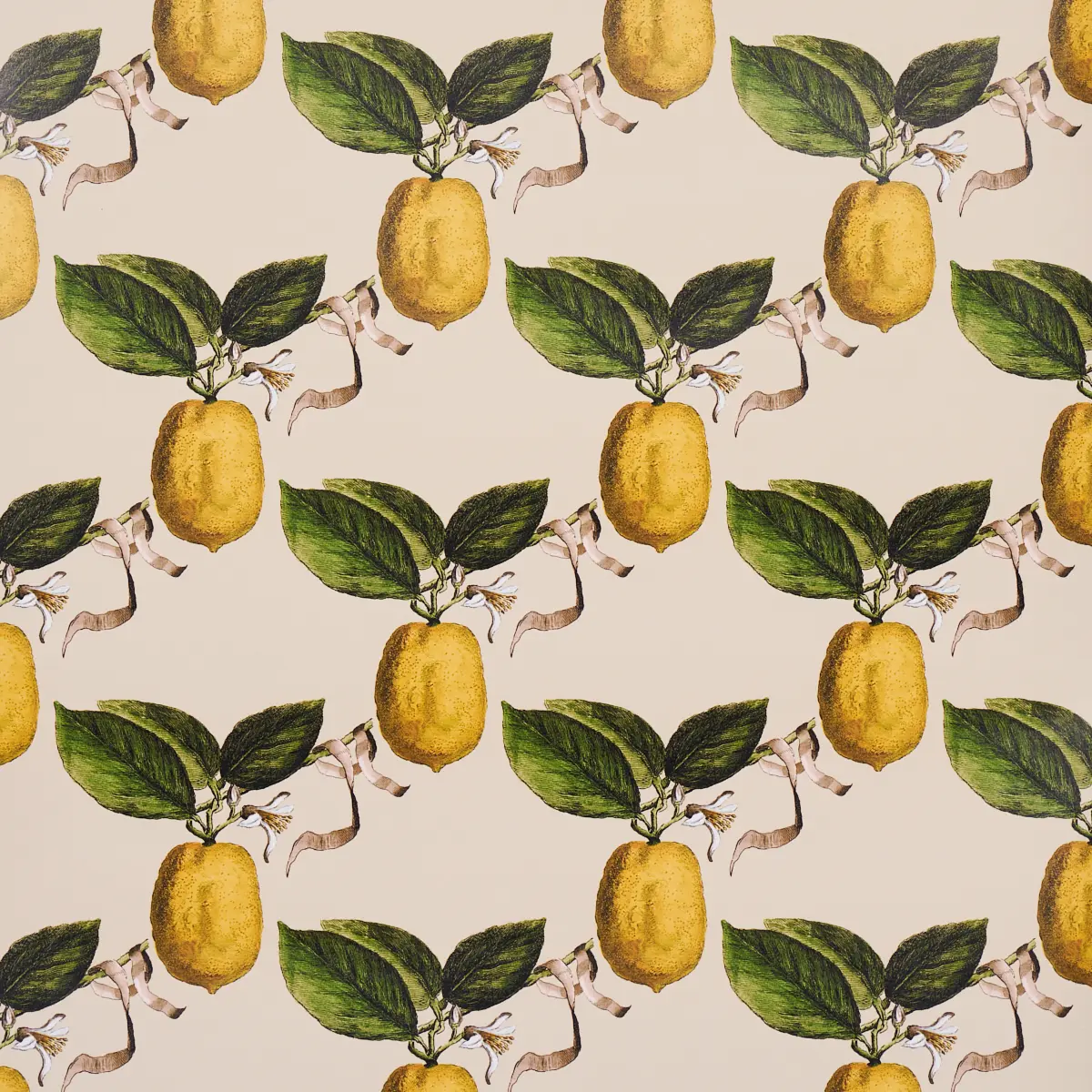 LE CITRON_ NATURAL