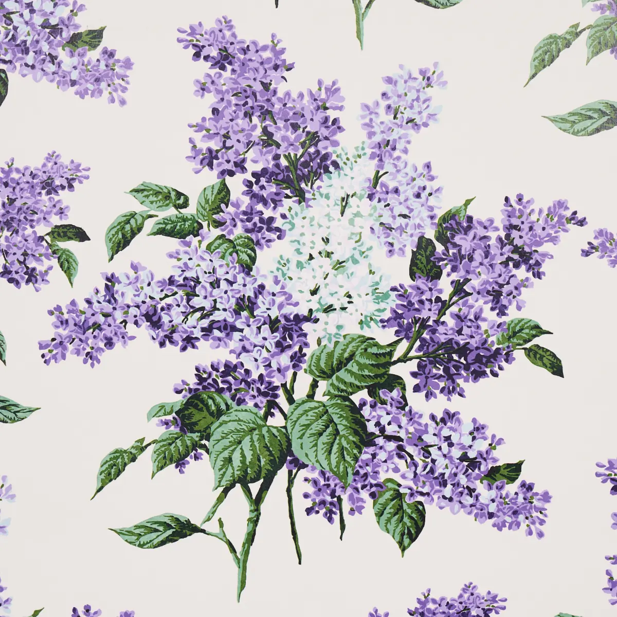 PROUST'S LILACS_ PURPLE