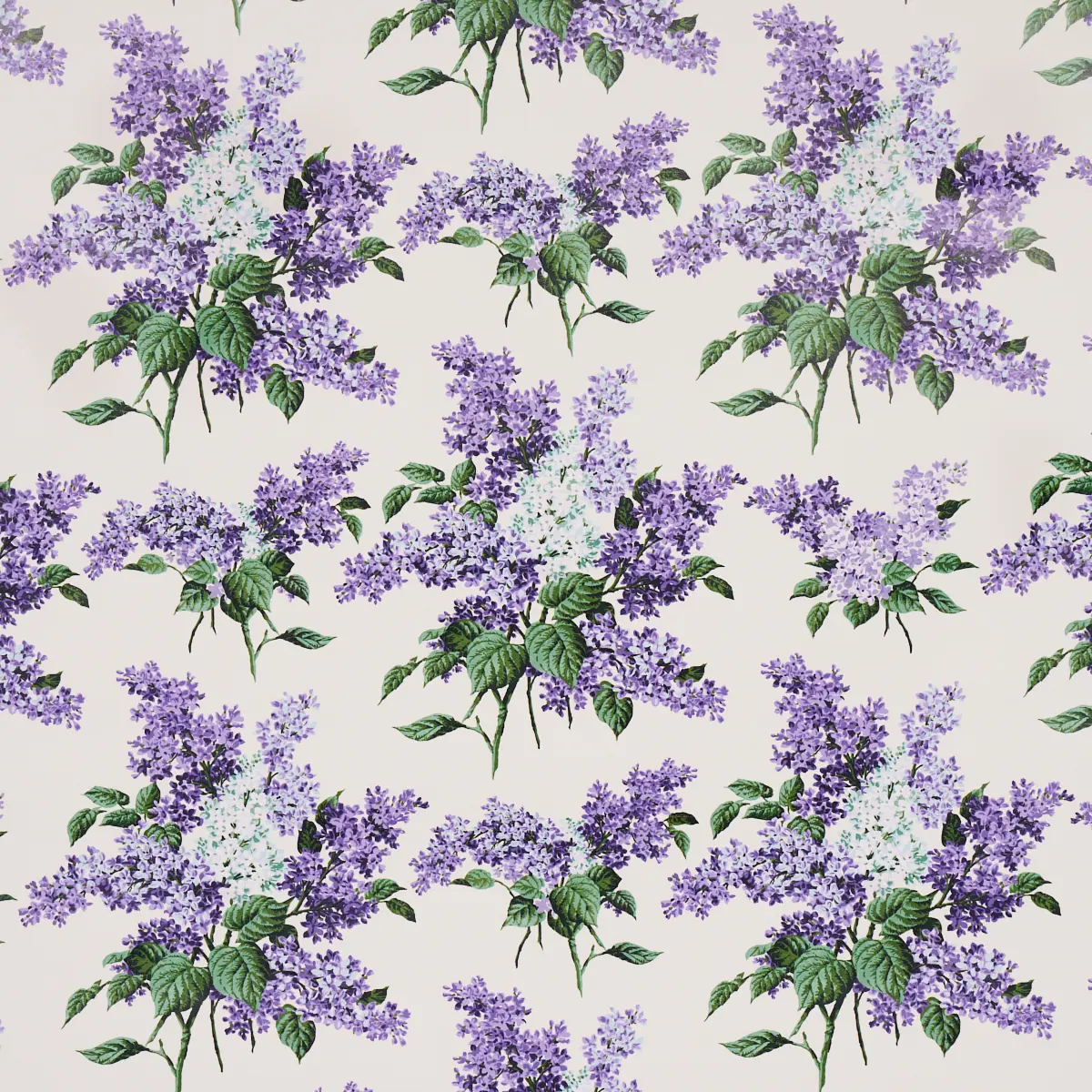 PROUST'S LILACS_ PURPLE