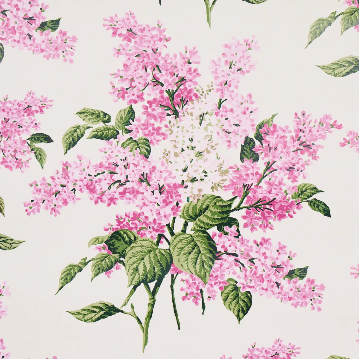 PROUST'S LILACS_ PINK