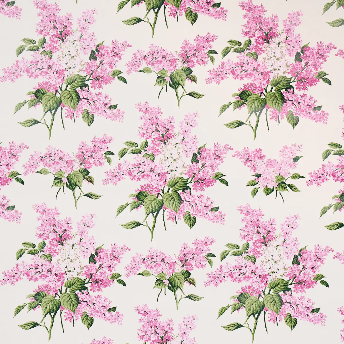 PROUST'S LILACS_ PINK