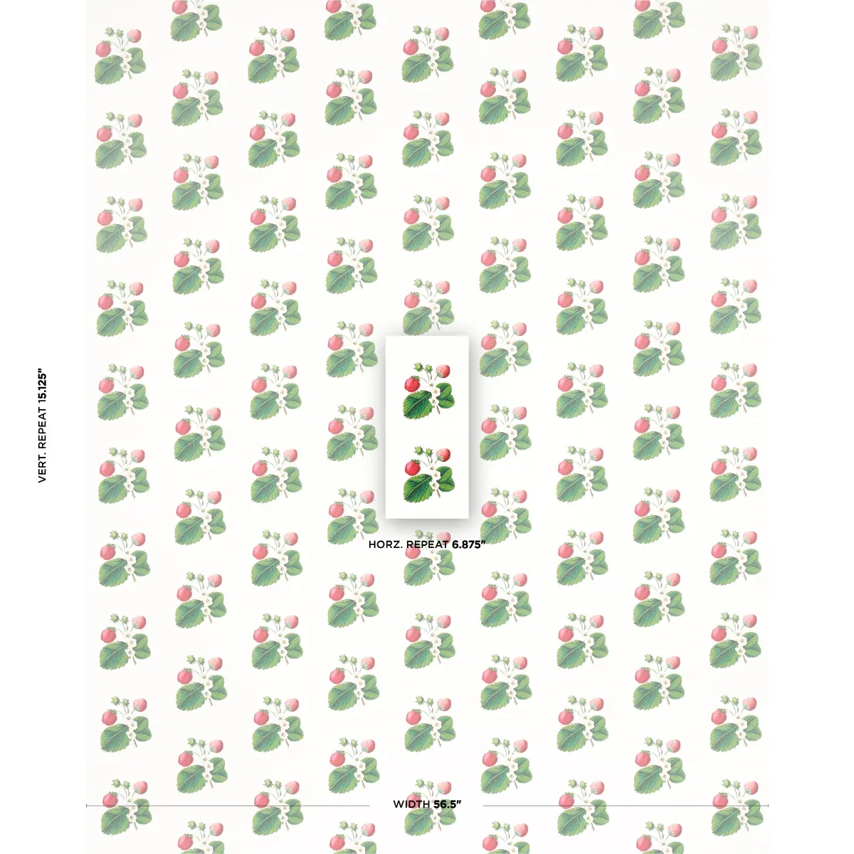 STRAWBERRY HILL_ WHITE