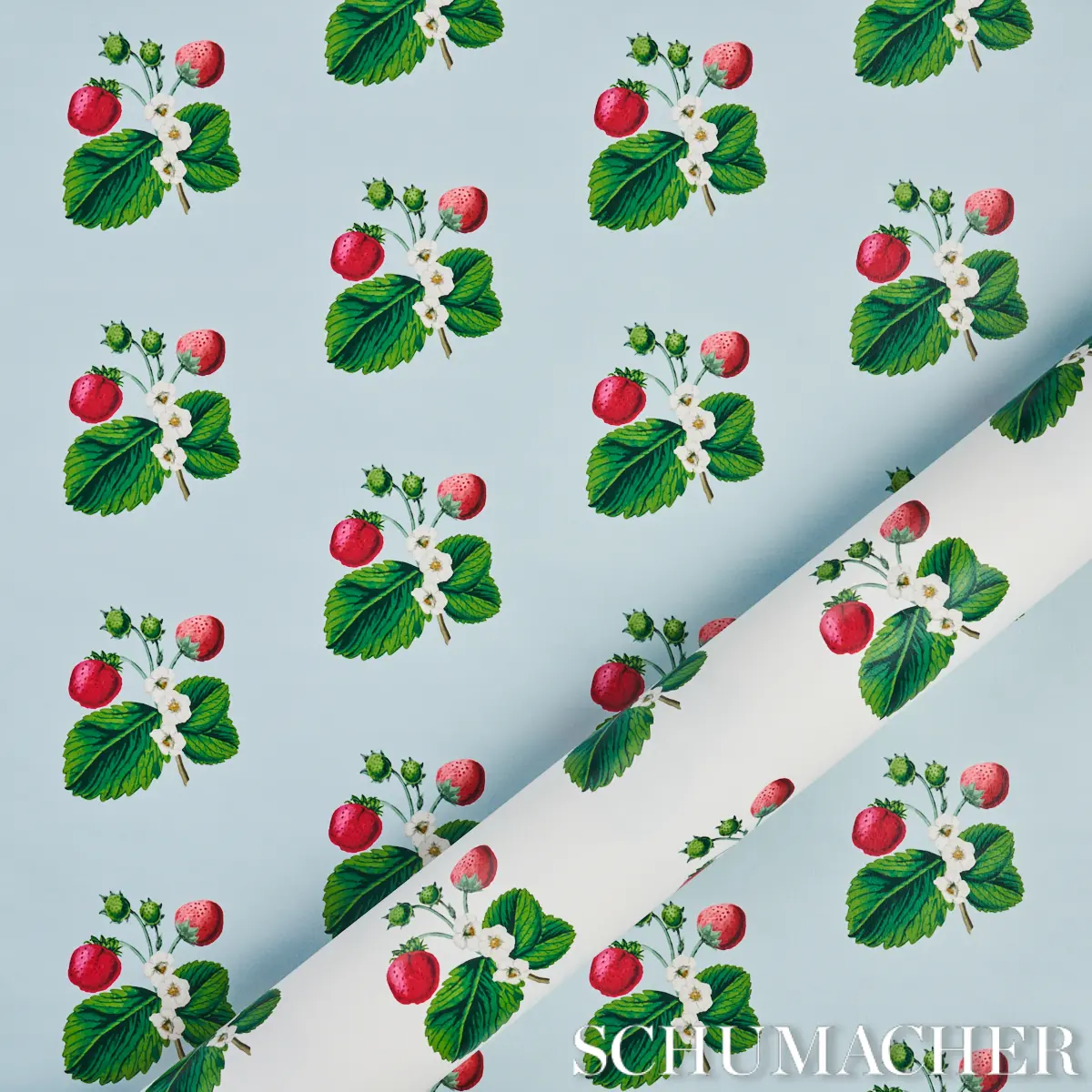STRAWBERRY HILL_ WHITE