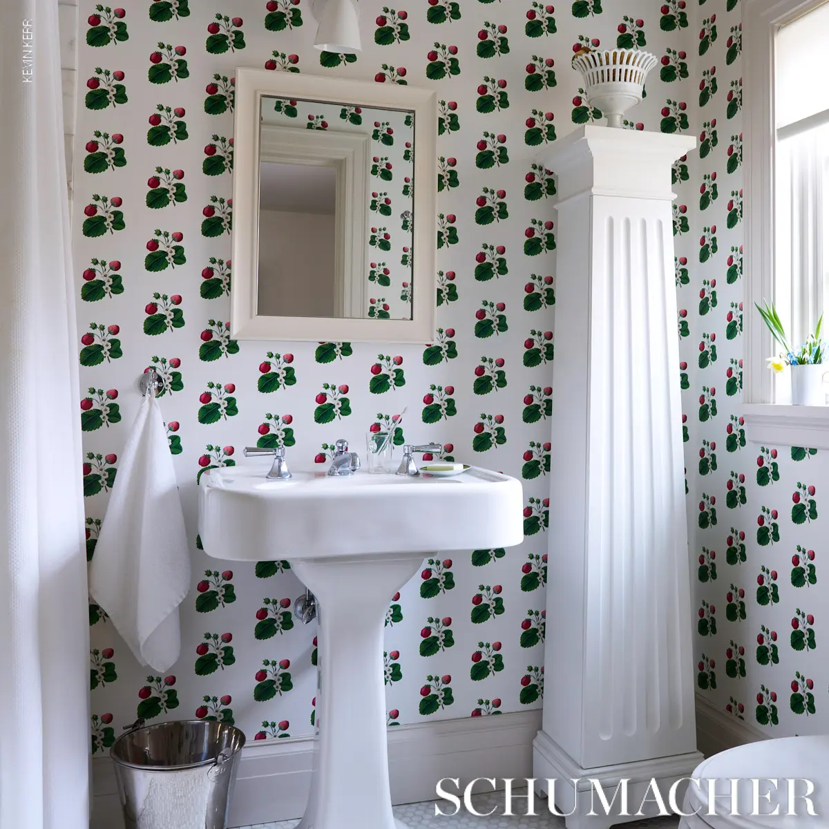 STRAWBERRY HILL_ WHITE