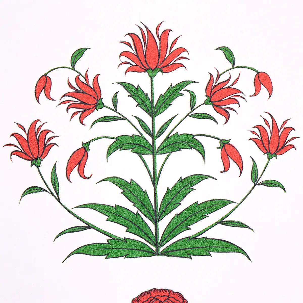 POPPY STRIPES_ RED