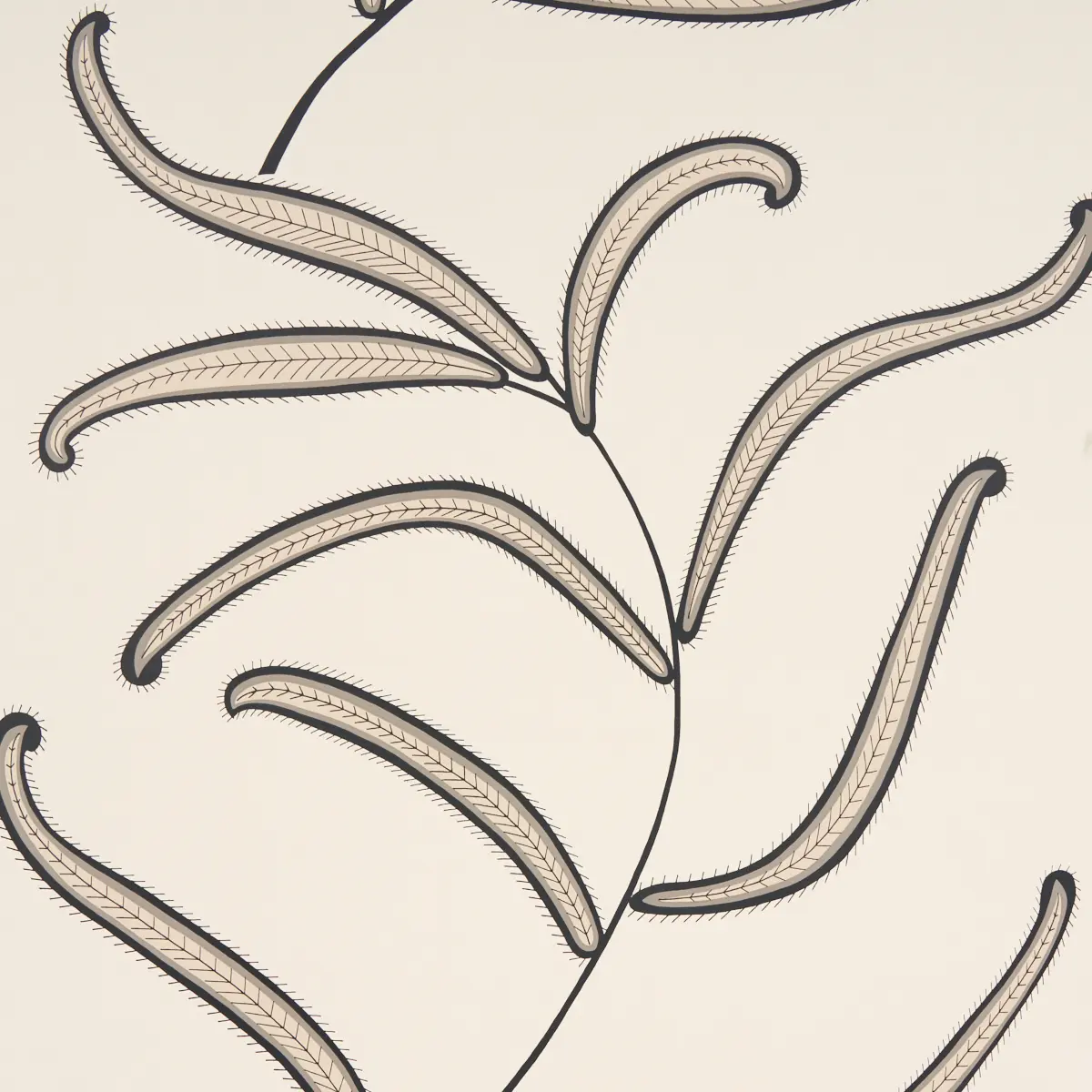 CATERPILLAR LEAF_ BLACK AND CREAM