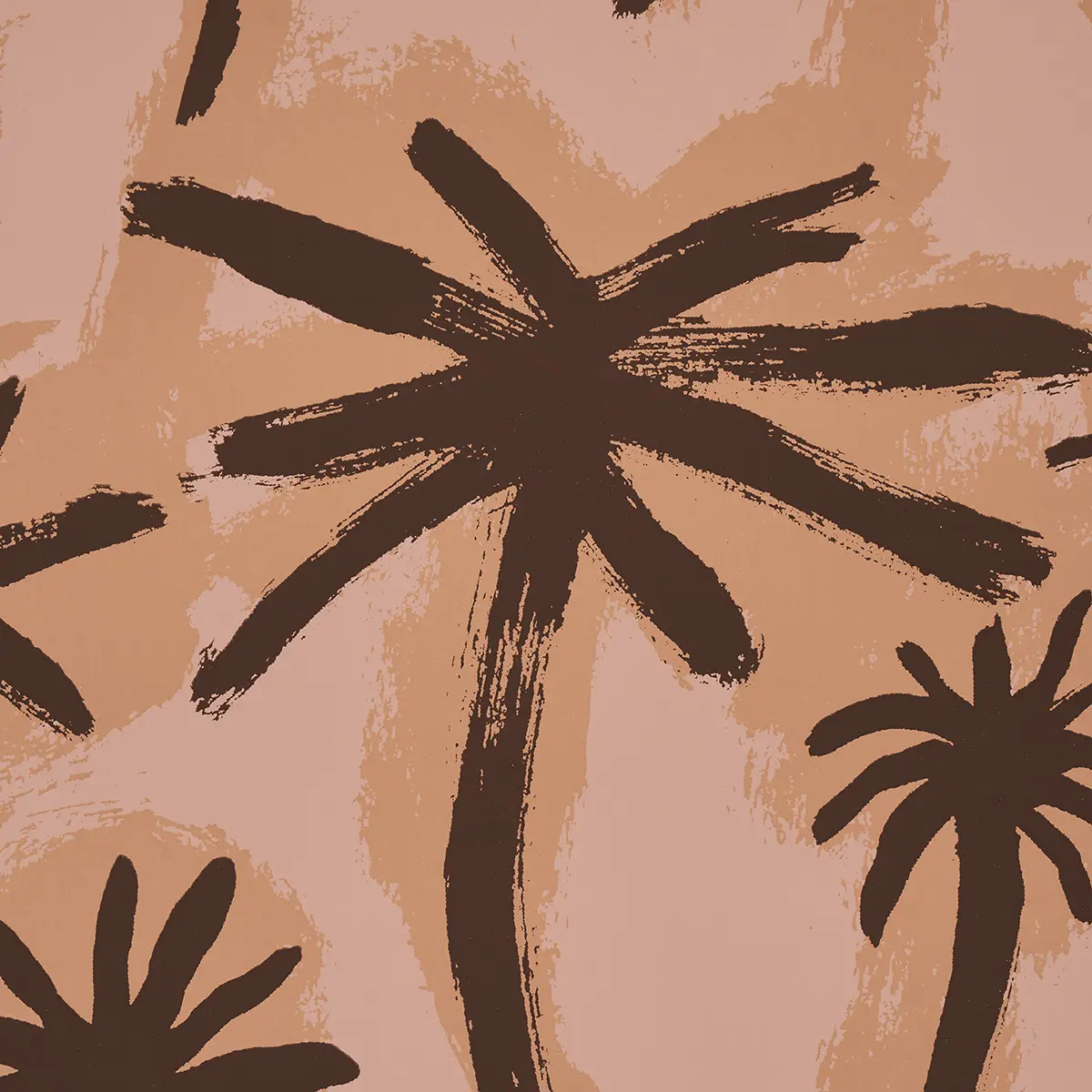 PALMITAS_ CORAL