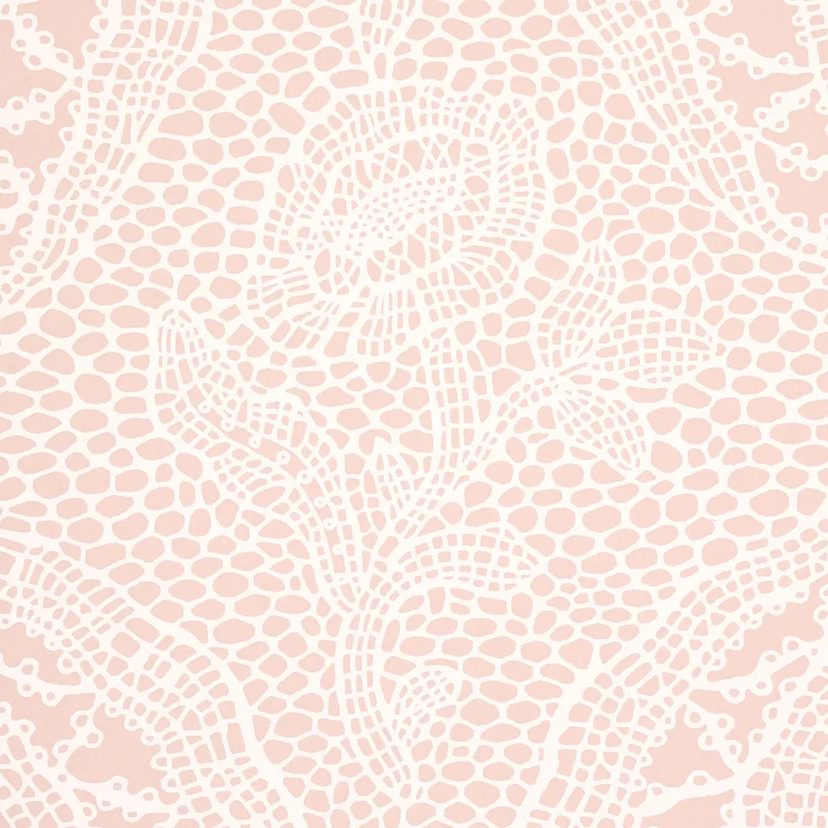 COSETTE LACE_ BLUSH