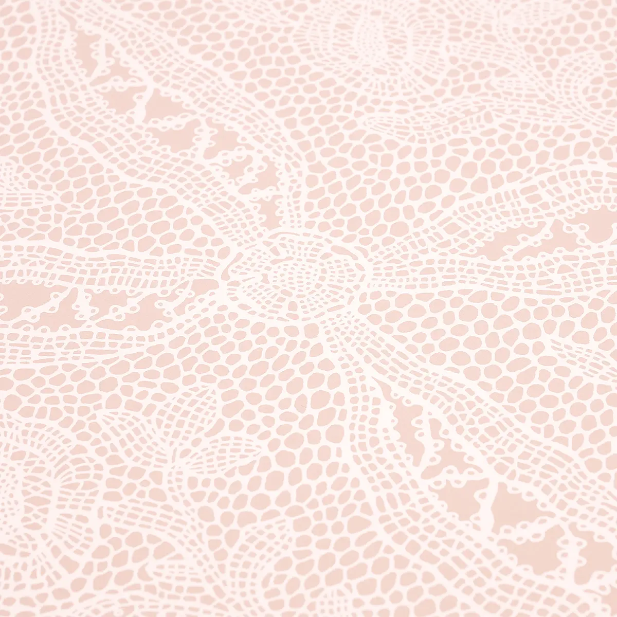 COSETTE LACE_ BLUSH