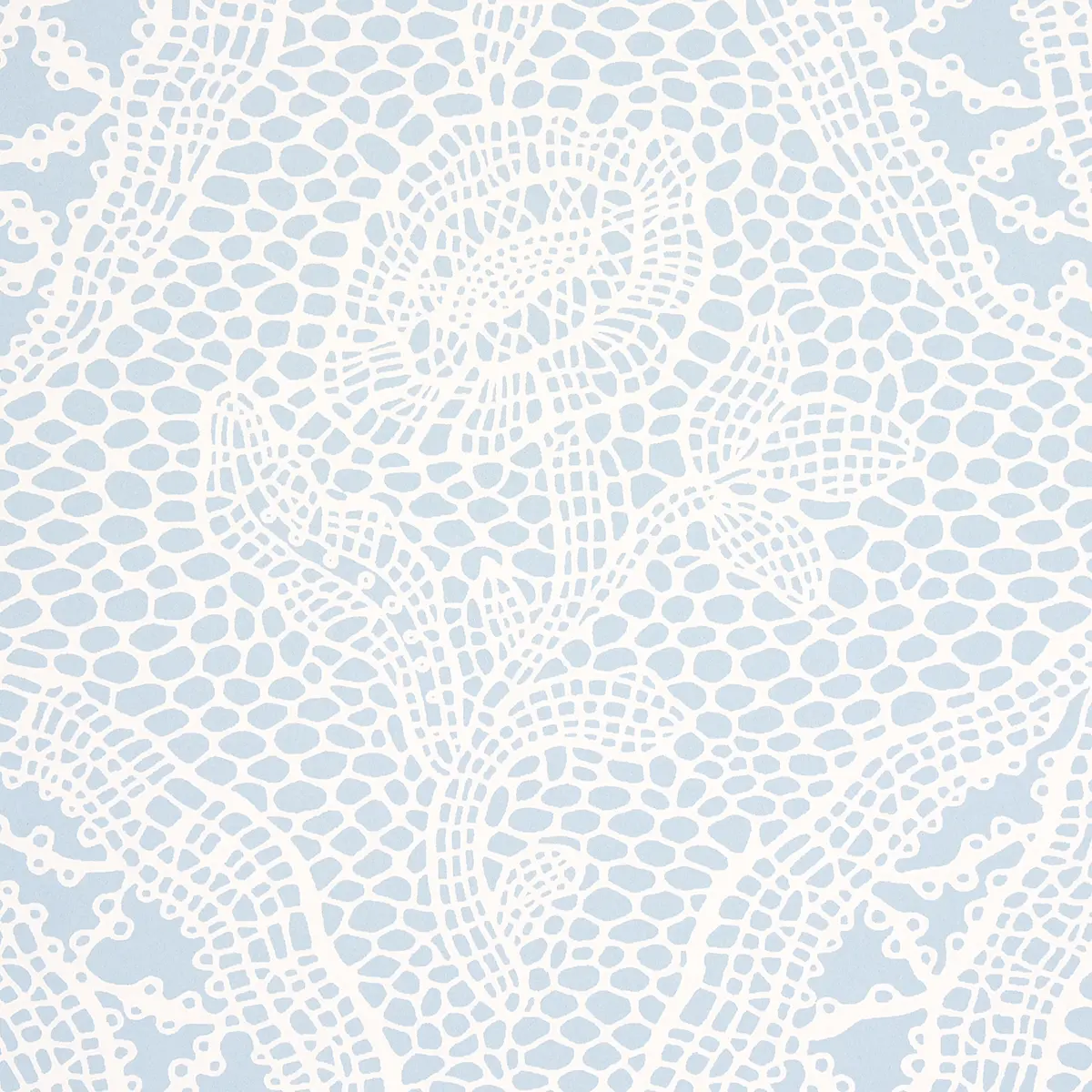 COSETTE LACE_ CORNFLOWER