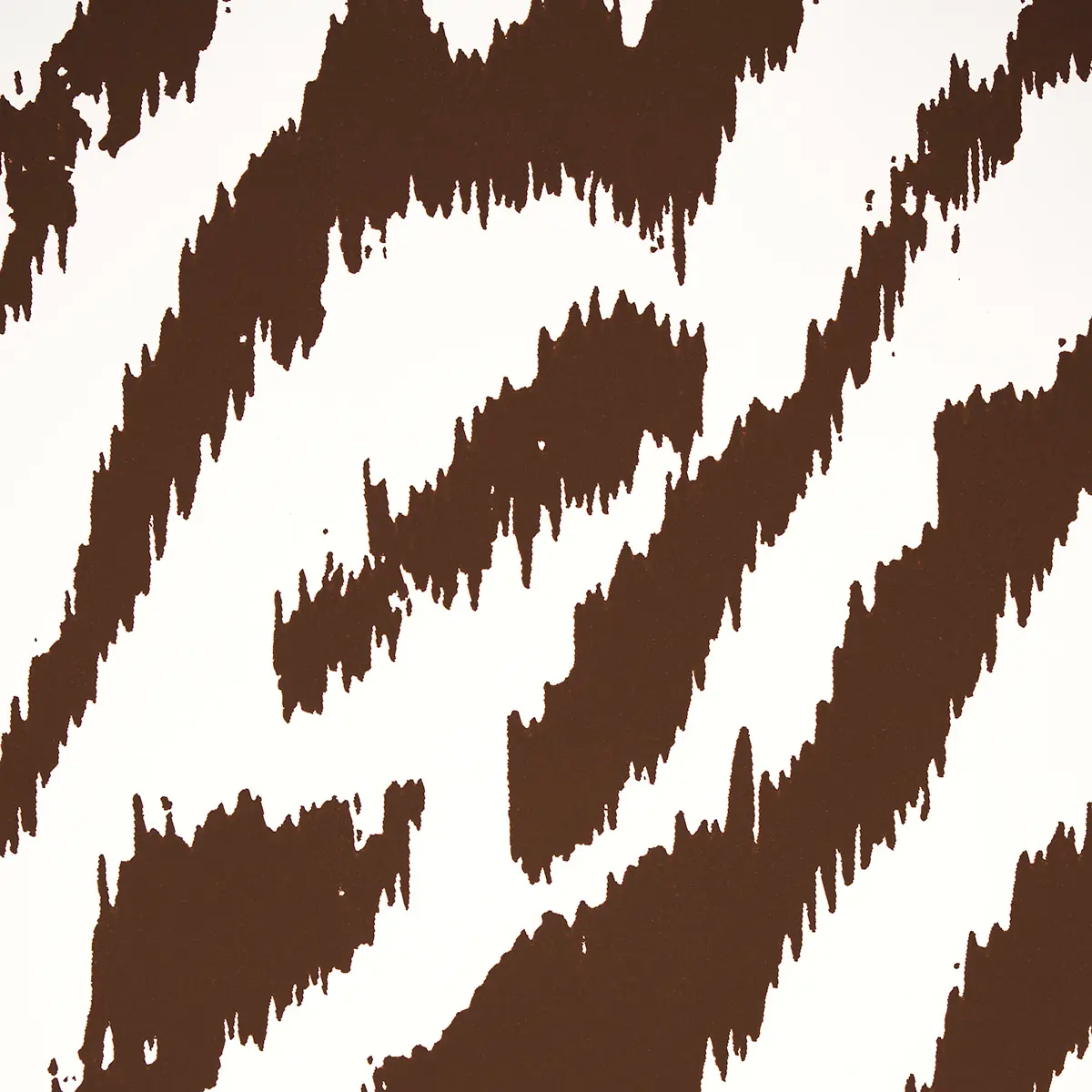 Quincy_ COCOA
