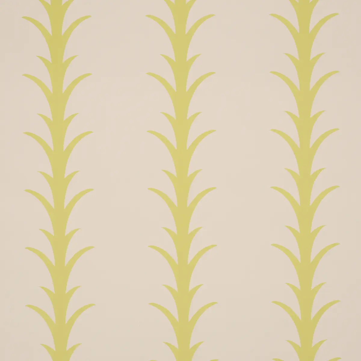 ACANTHUS STRIPE_ SOLEIL ON SAND