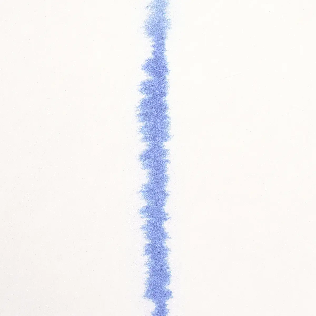 EPHEMERA_ CORNFLOWER