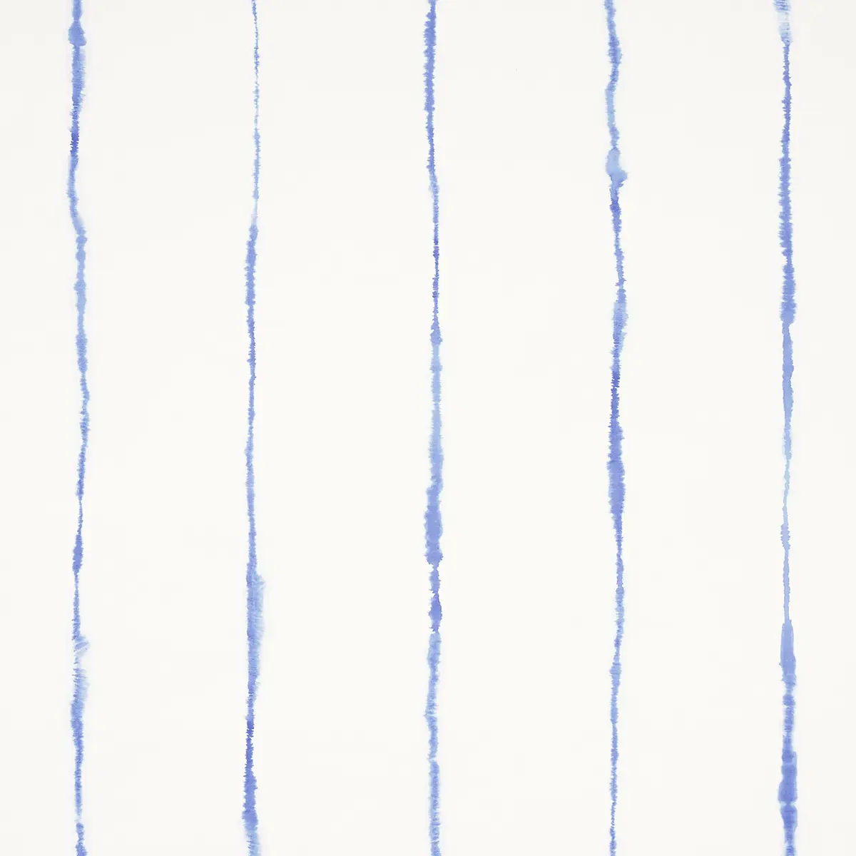 EPHEMERA_ CORNFLOWER