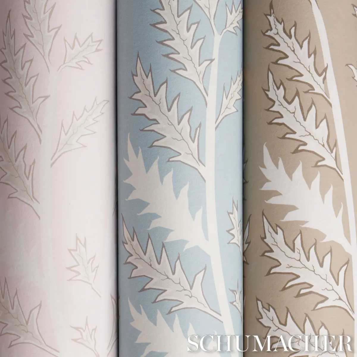 THISTLE_ NEUTRAL