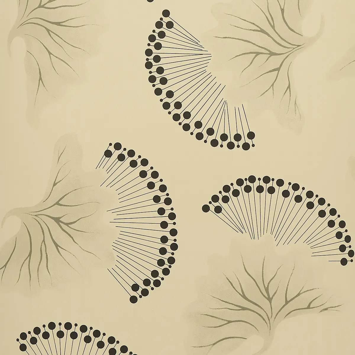 ANEMONE_ BLACK & WHITE