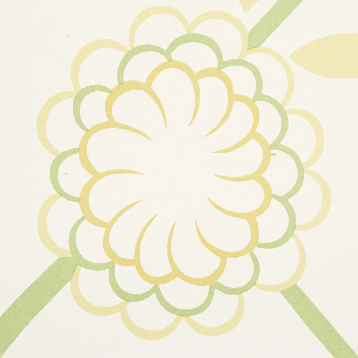 BIRDTREE_ MIMOSA