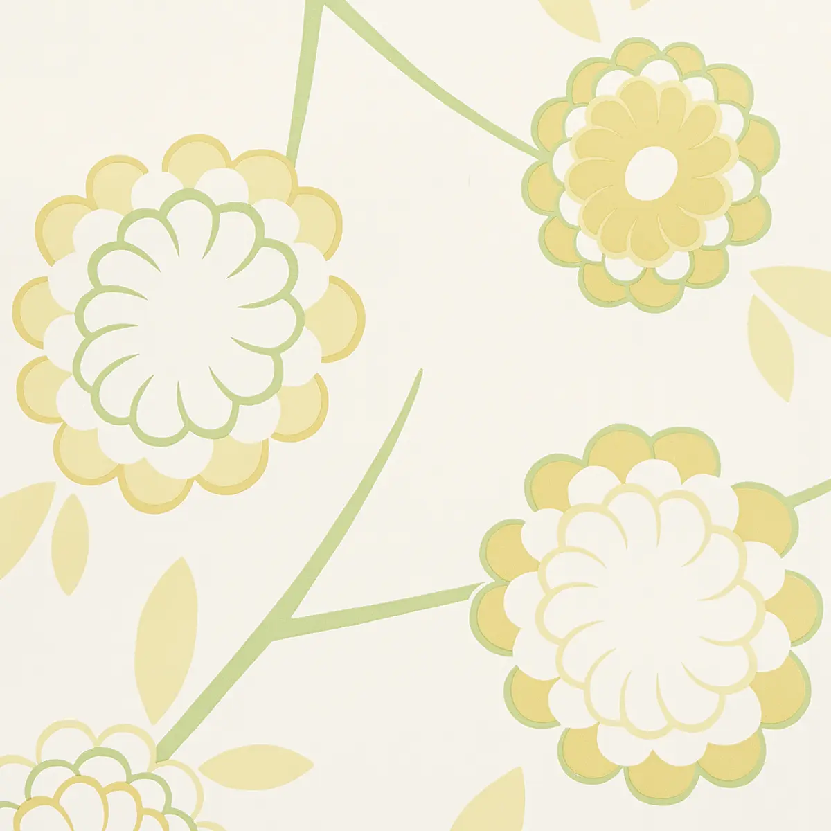 BIRDTREE_ MIMOSA