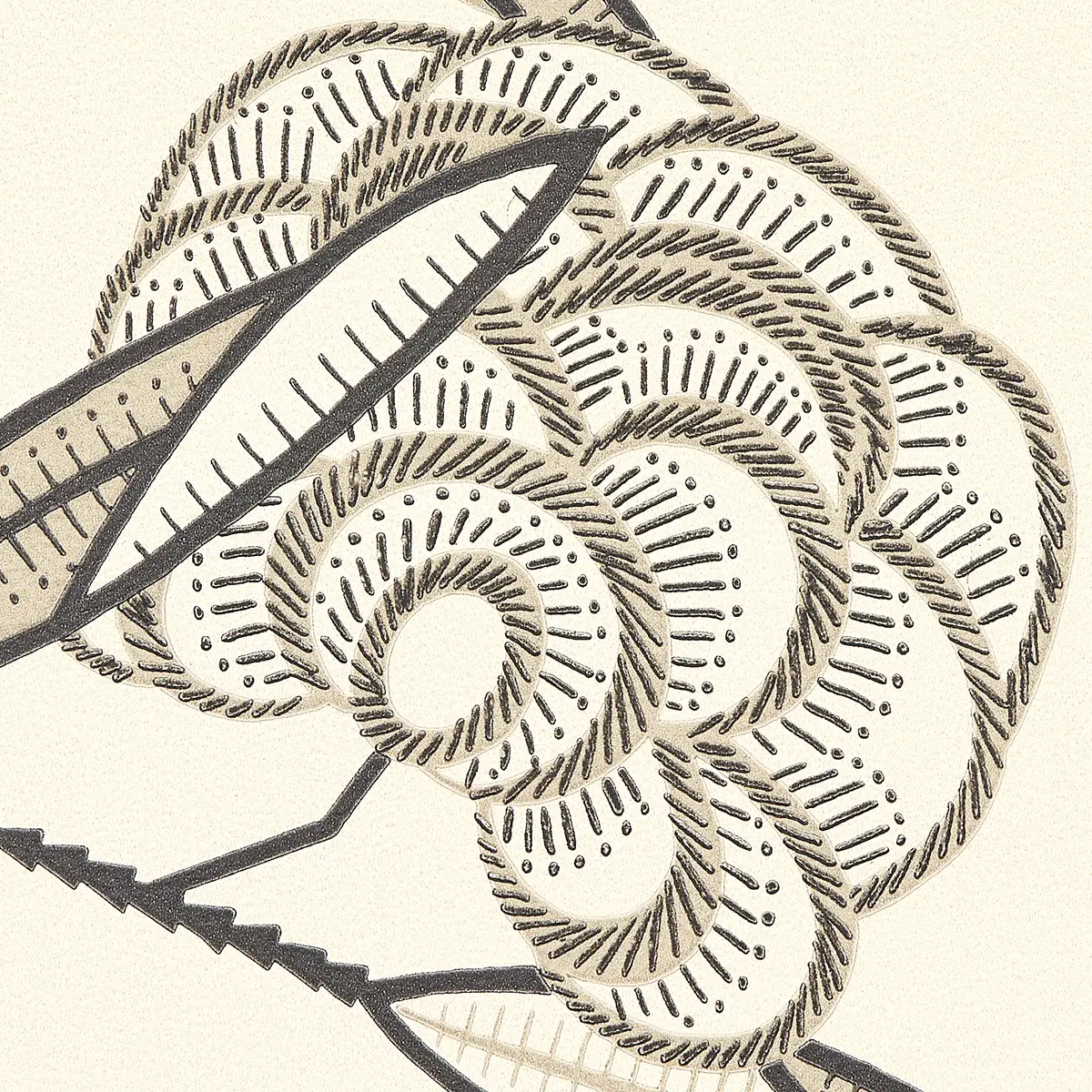 JACOB'S TREE_ BLACK & CREAM