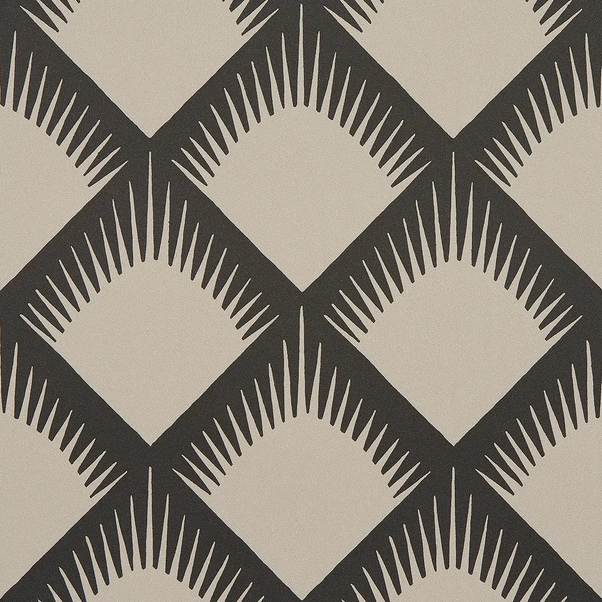 MAIZE_ BLACK & CREAM