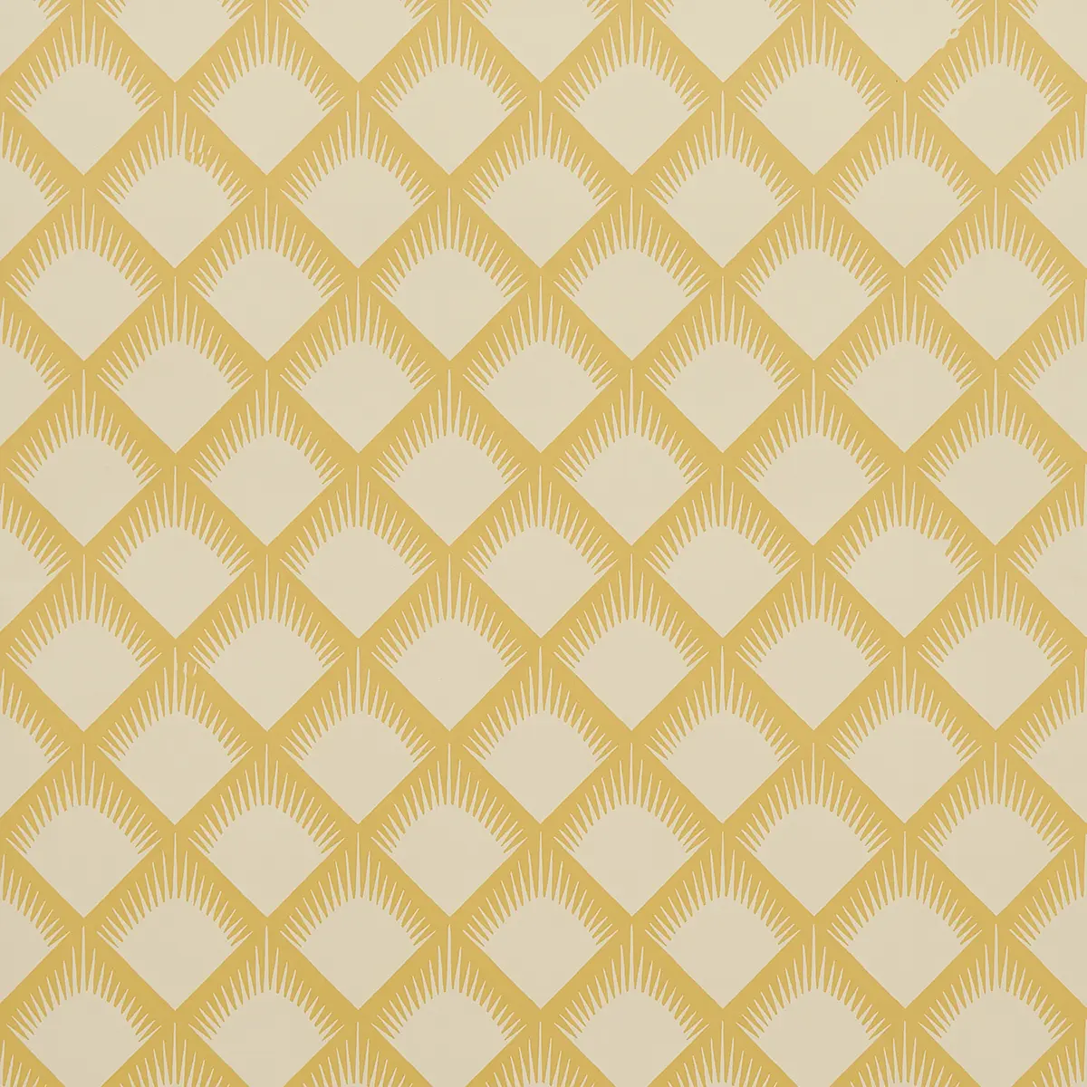 MAIZE_ MUSTARD