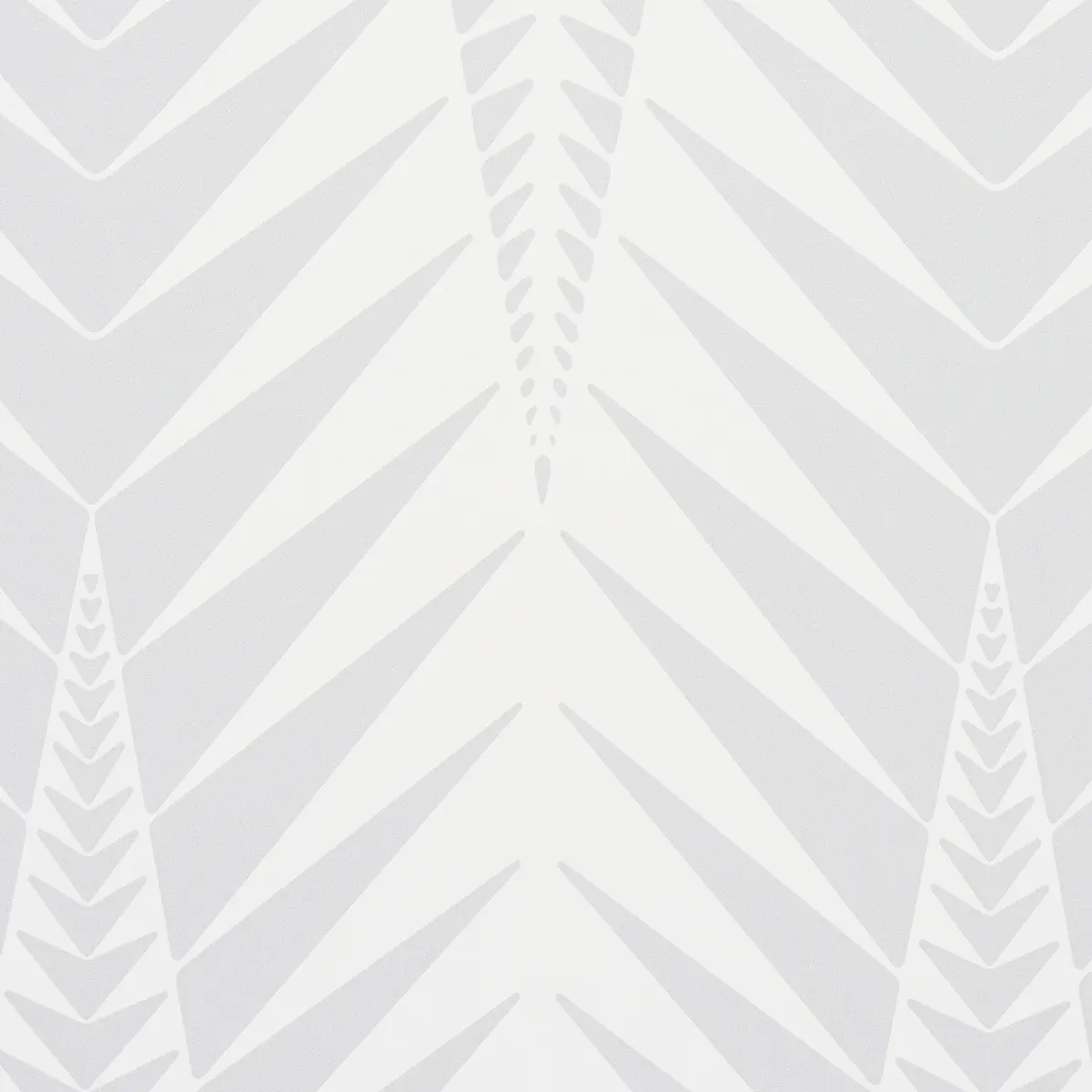 ZEBRA_ DOVE GREY