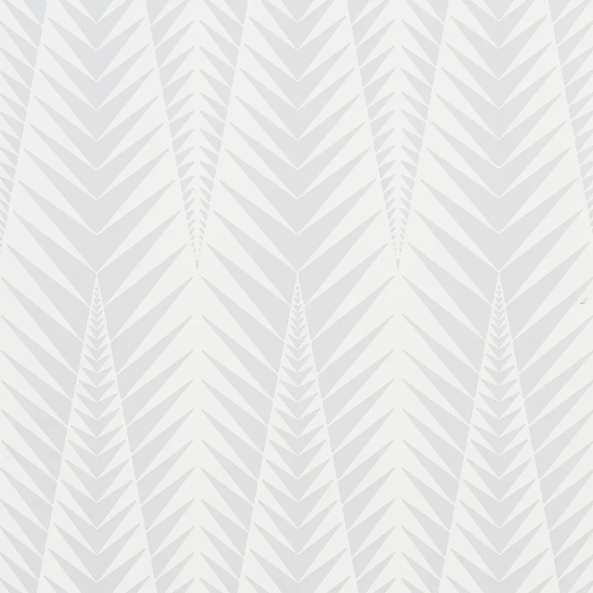 ZEBRA_ DOVE GREY
