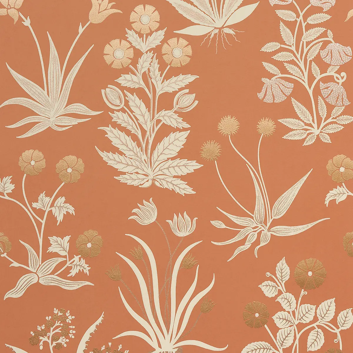 CULPEPER_ OX ORANGE