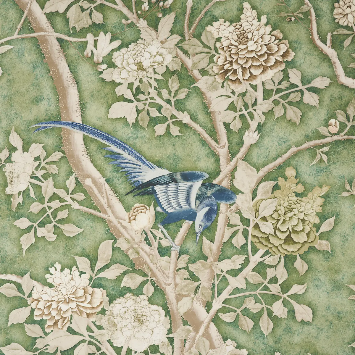 LES OISEAUX PANEL SET_ JADE