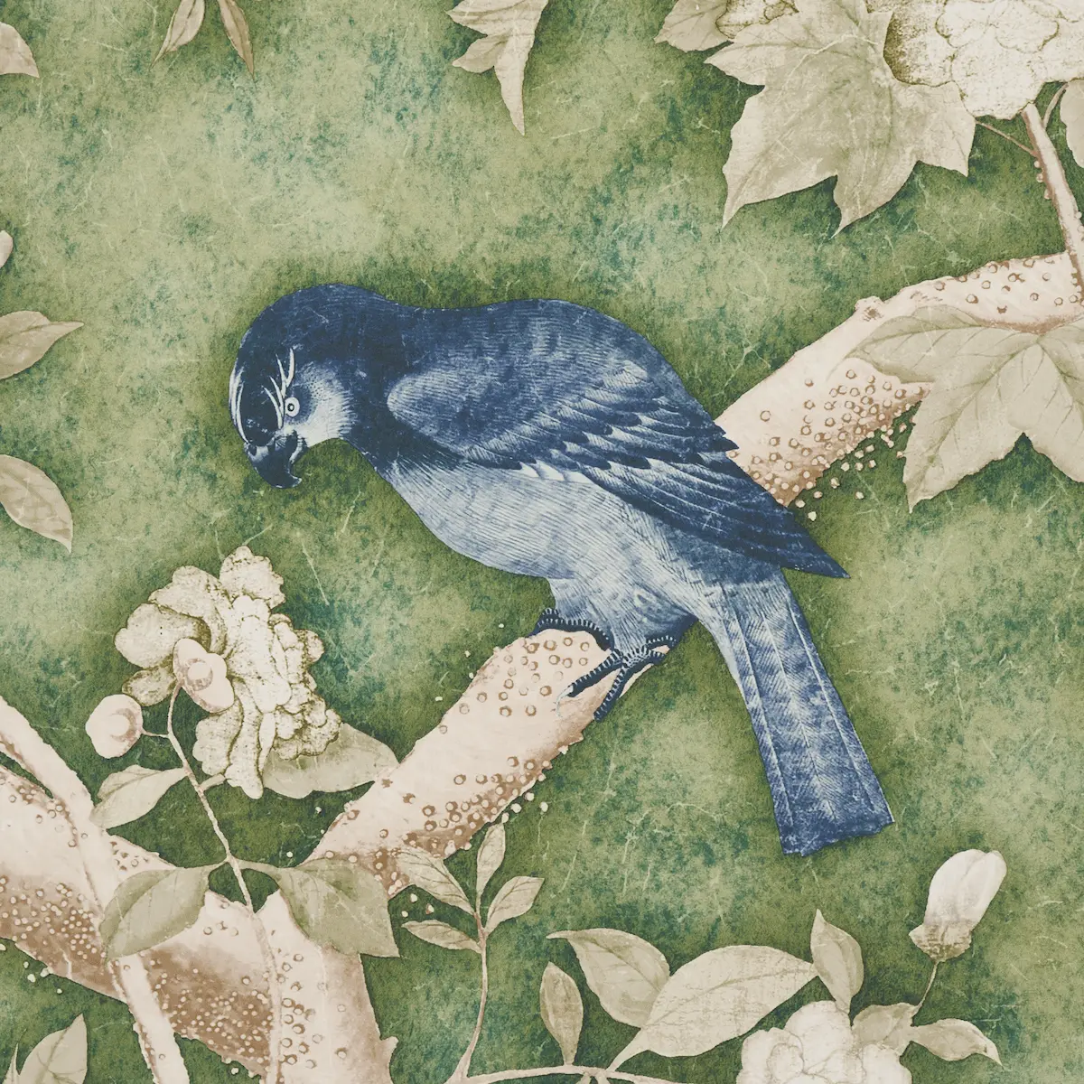 LES OISEAUX PANEL SET_ JADE