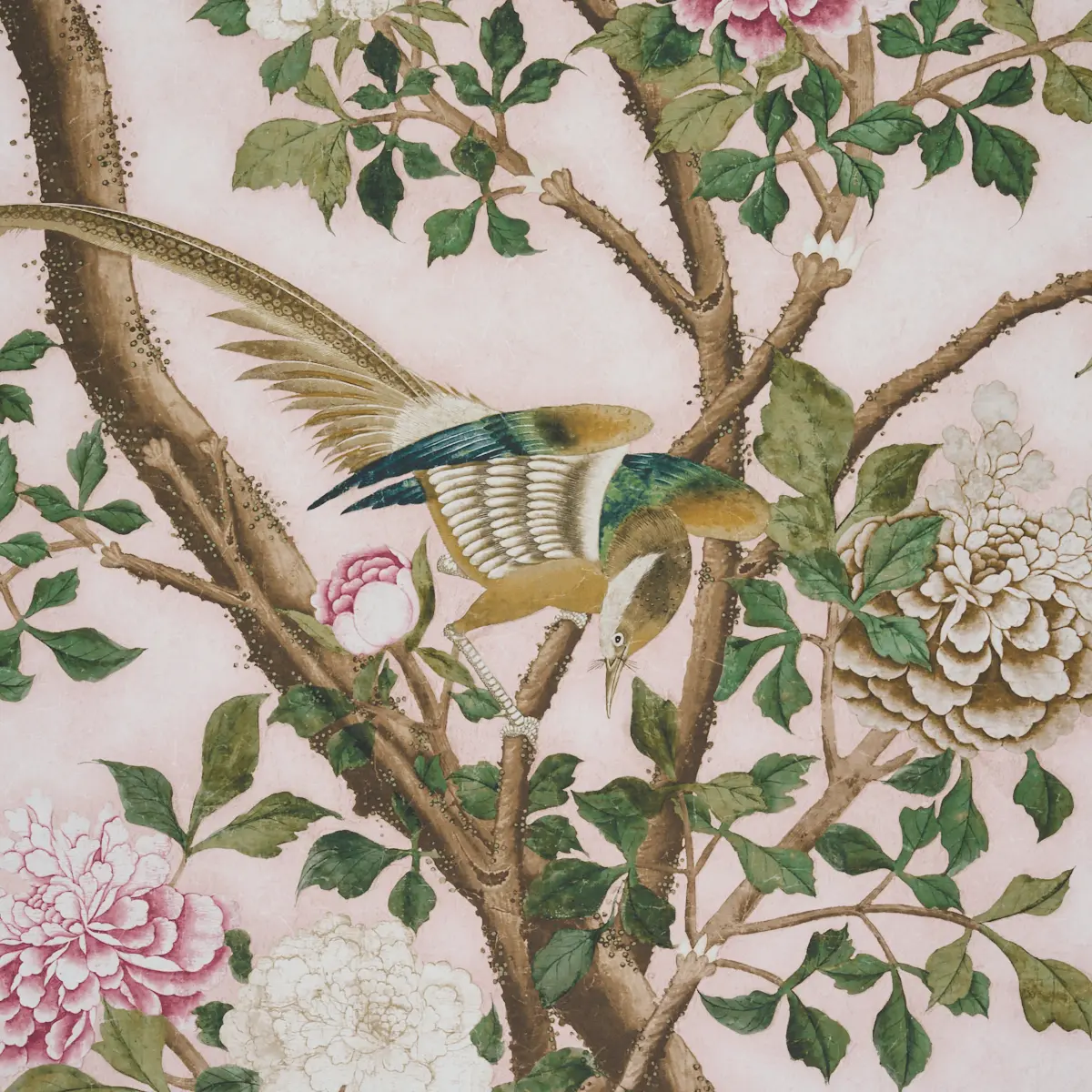 Les Oiseaux Panel Set_ BLUSH