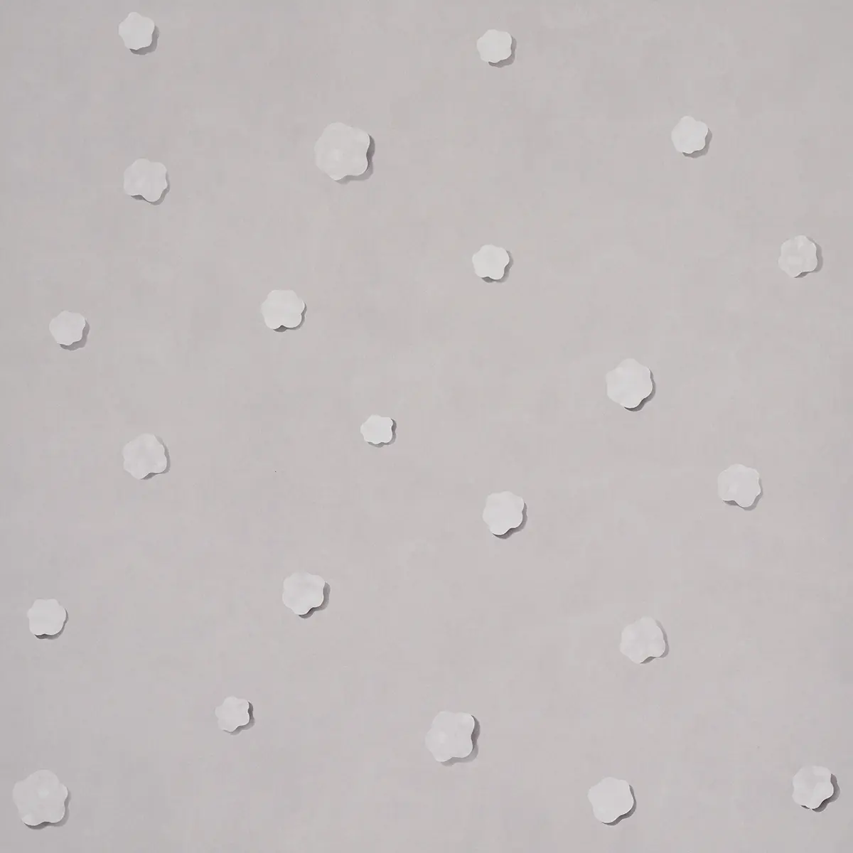 HEAVENLY BODIES_ GRAY