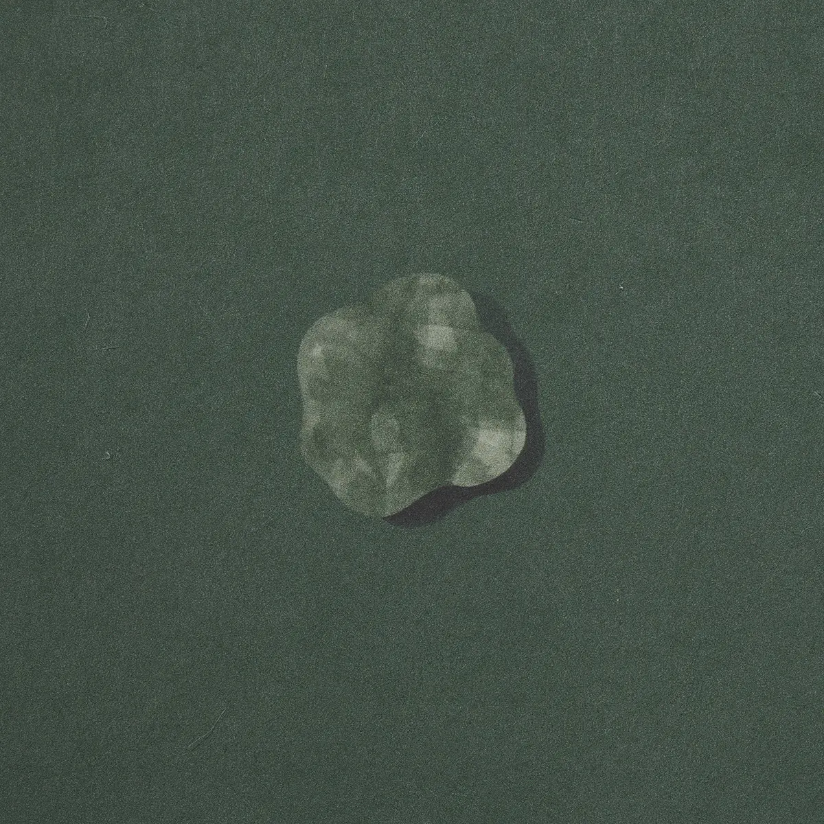 HEAVENLY BODIES_ DEEP GREEN