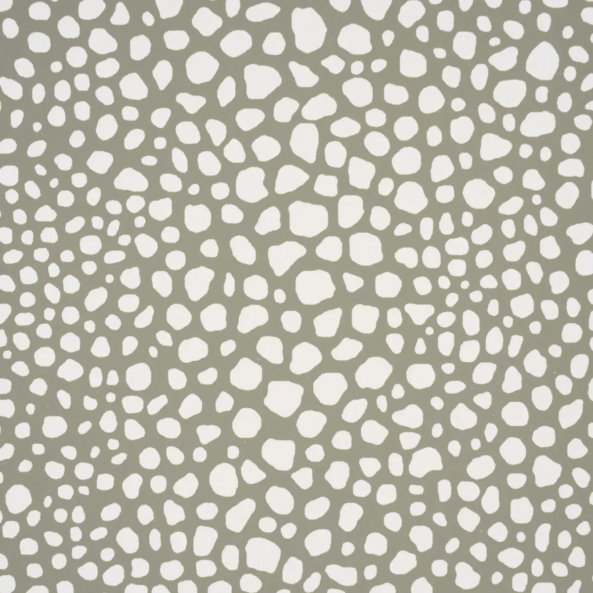 FICKLE TEXTURE_ KELP