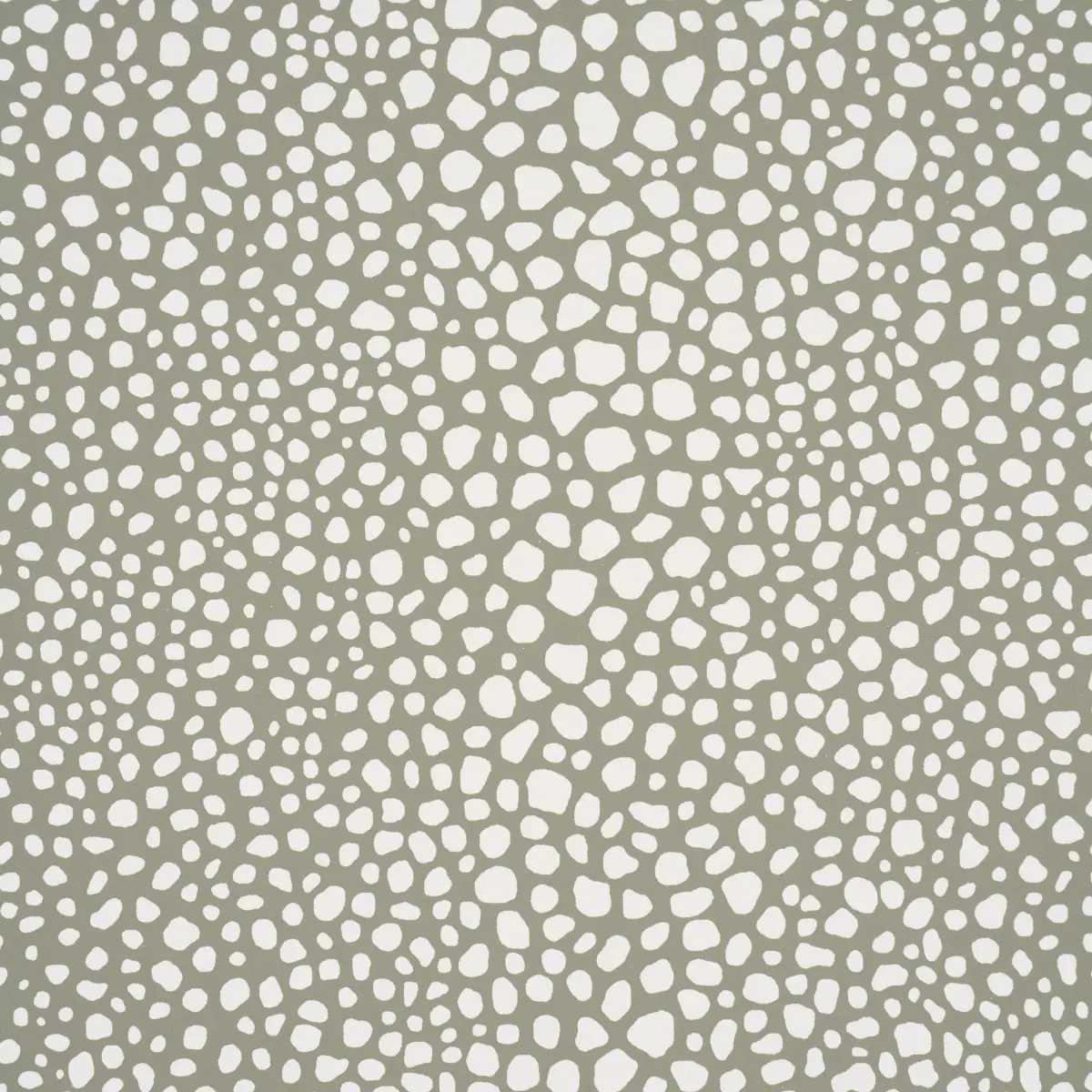 FICKLE TEXTURE_ KELP