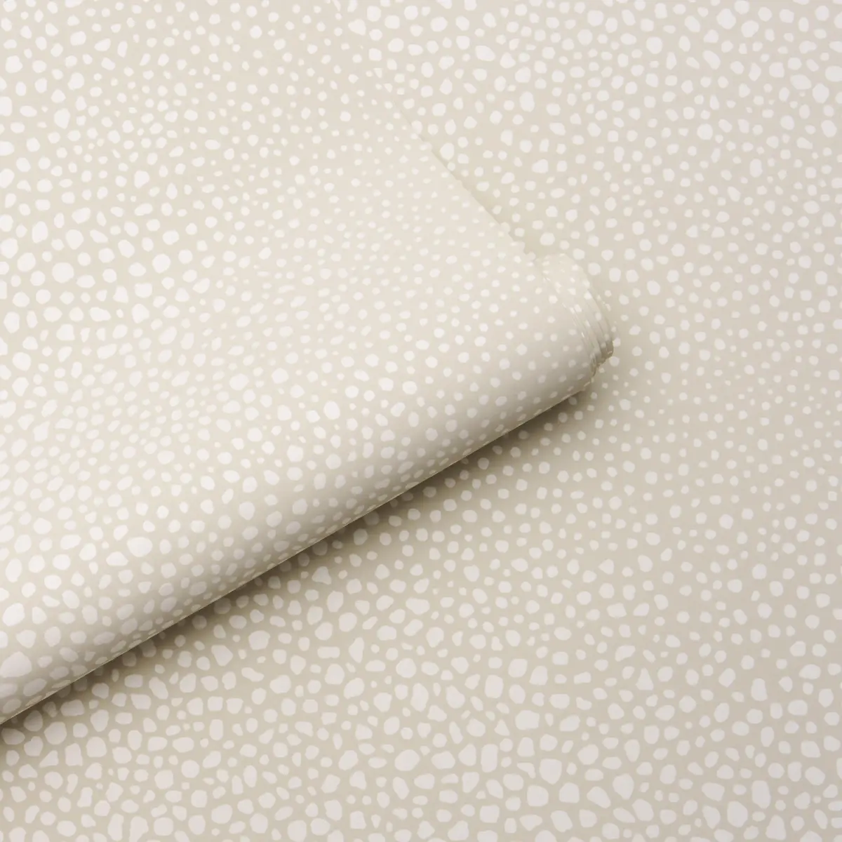 FICKLE TEXTURE_ IVORY