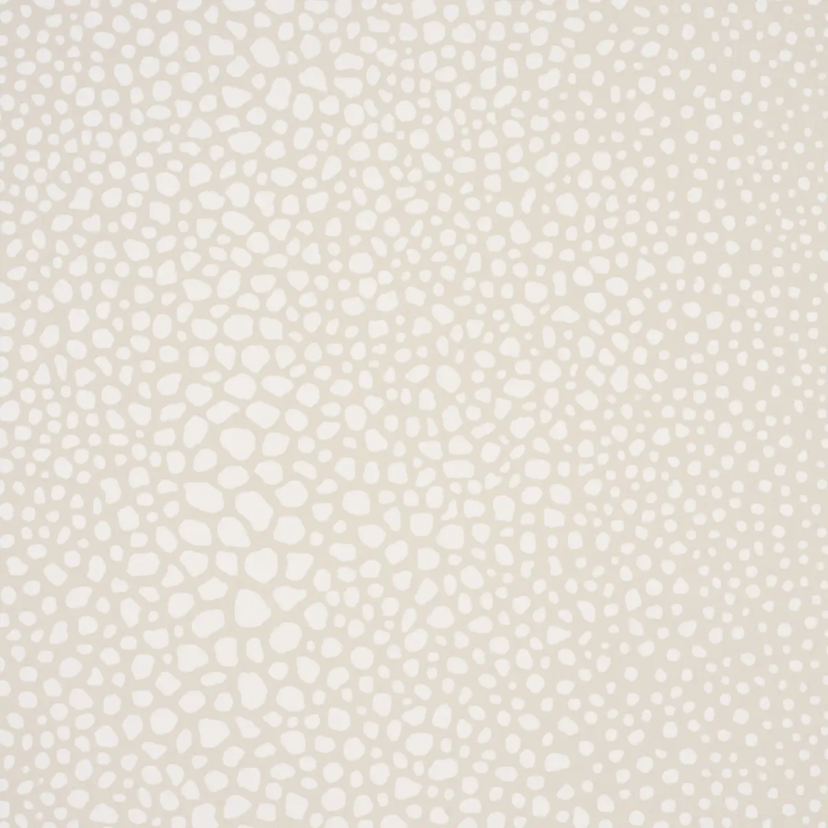 FICKLE TEXTURE_ IVORY