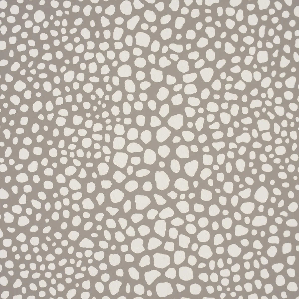 FICKLE TEXTURE_ SAND