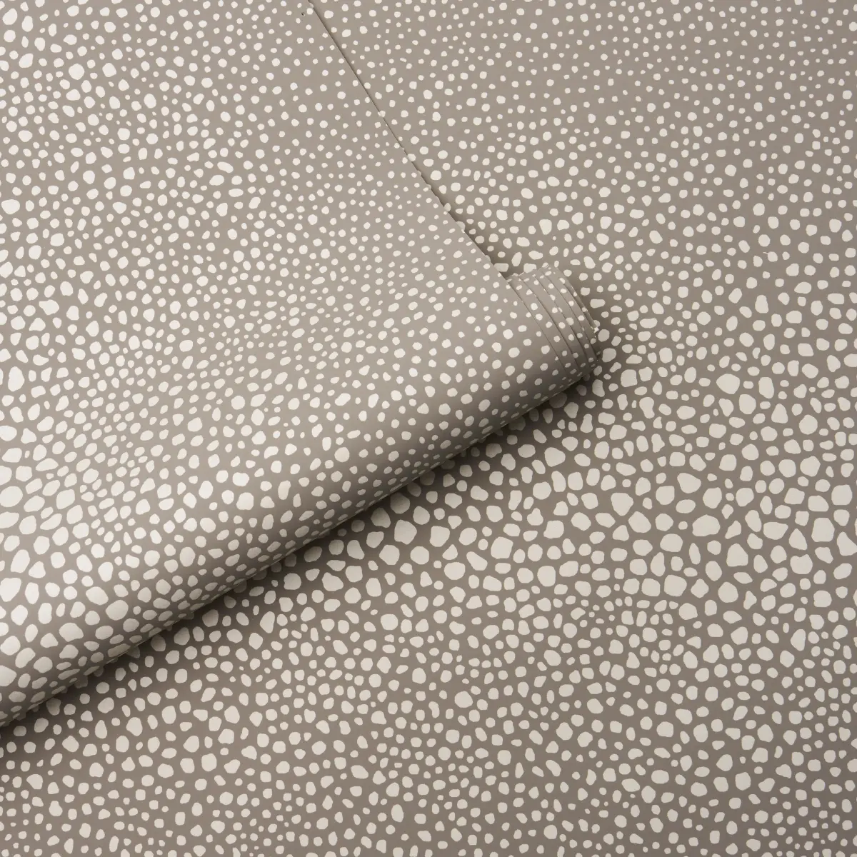 FICKLE TEXTURE_ SAND