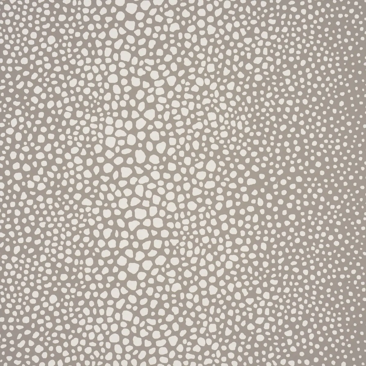 FICKLE TEXTURE_ SAND