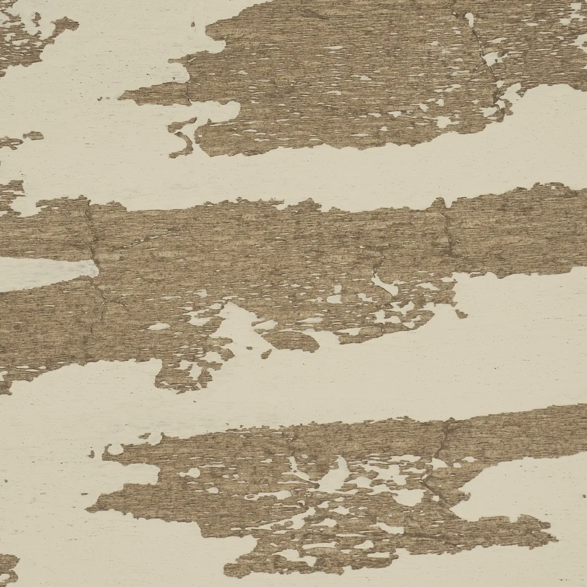 PLASTERED MANUSCRIPT_ BIRCH
