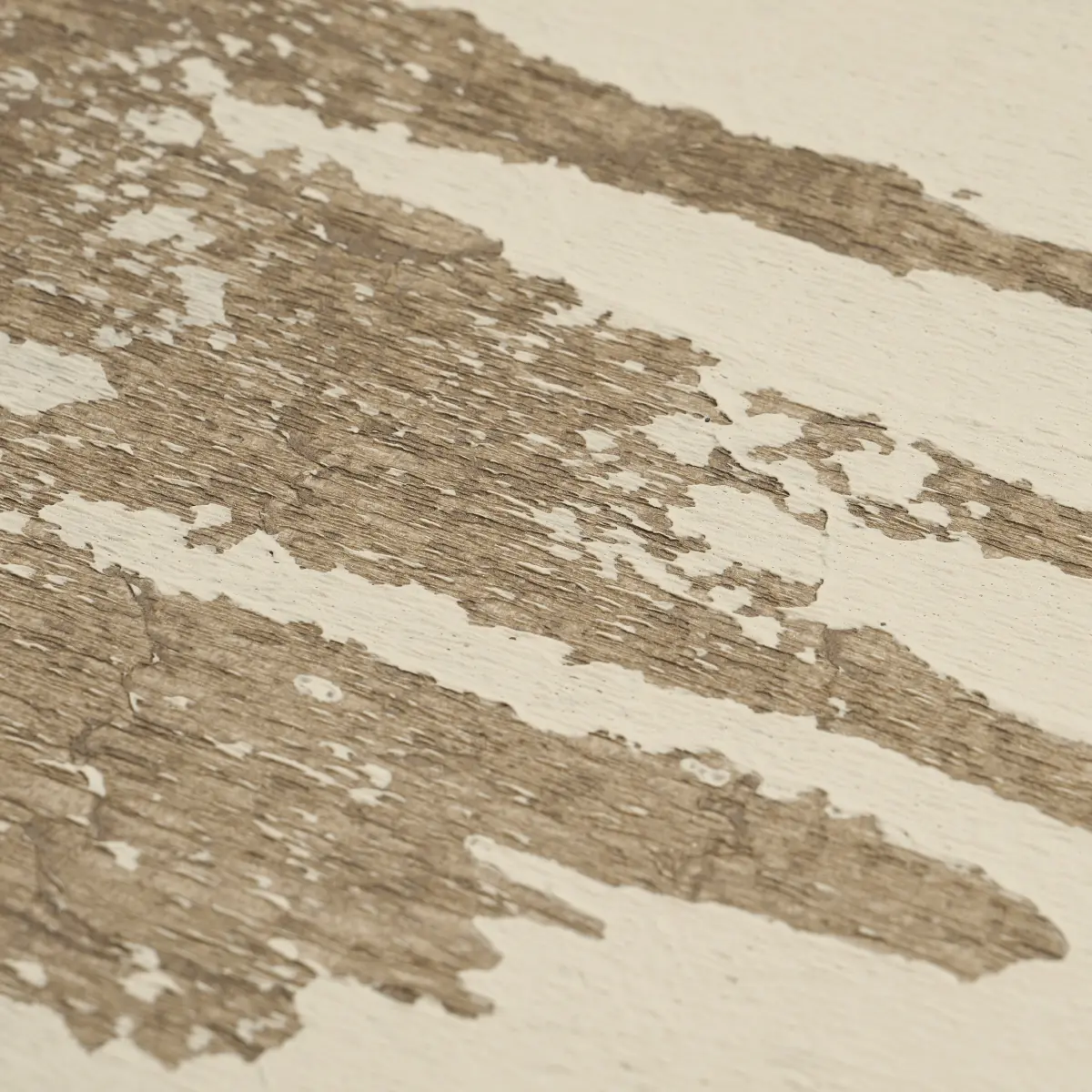 PLASTERED MANUSCRIPT_ BIRCH