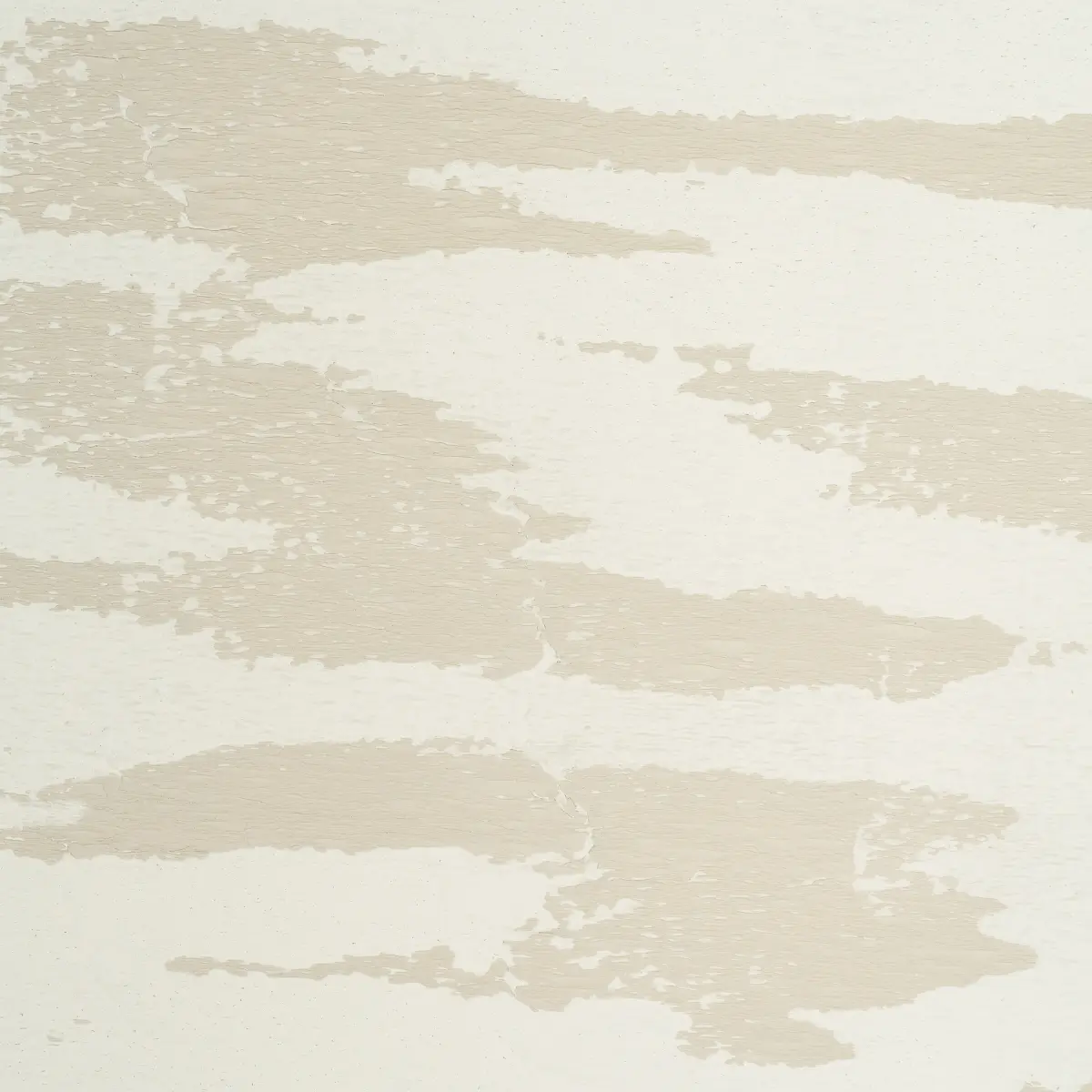 PLASTERED MANUSCRIPT_ ARCTIC