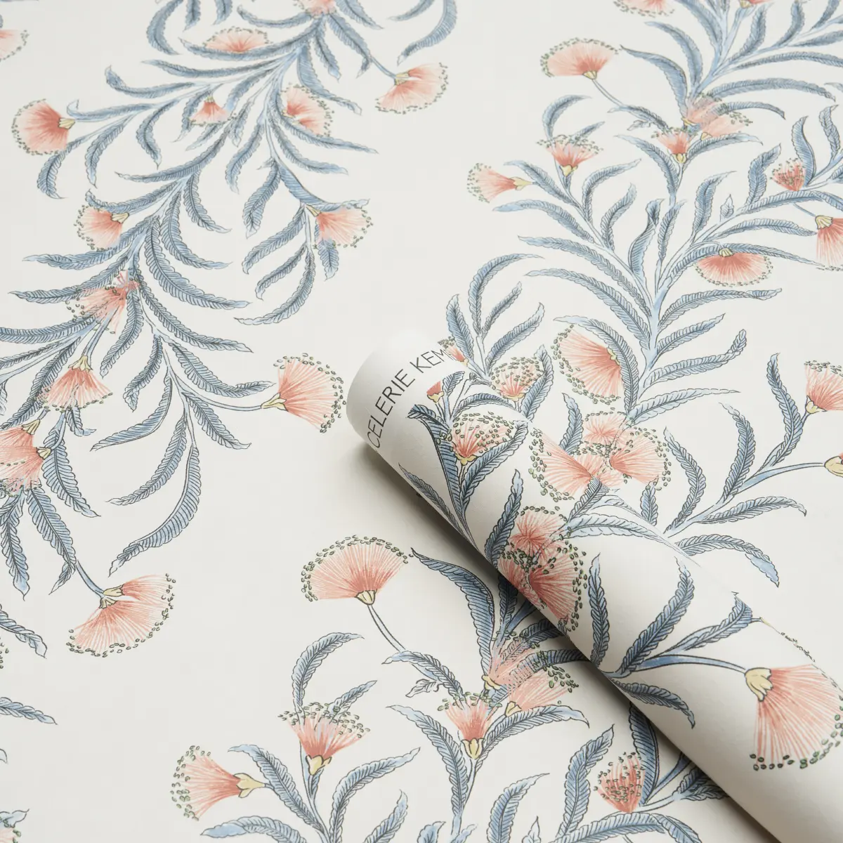 TASMANIAN MIMOSA_ PINK & GREY