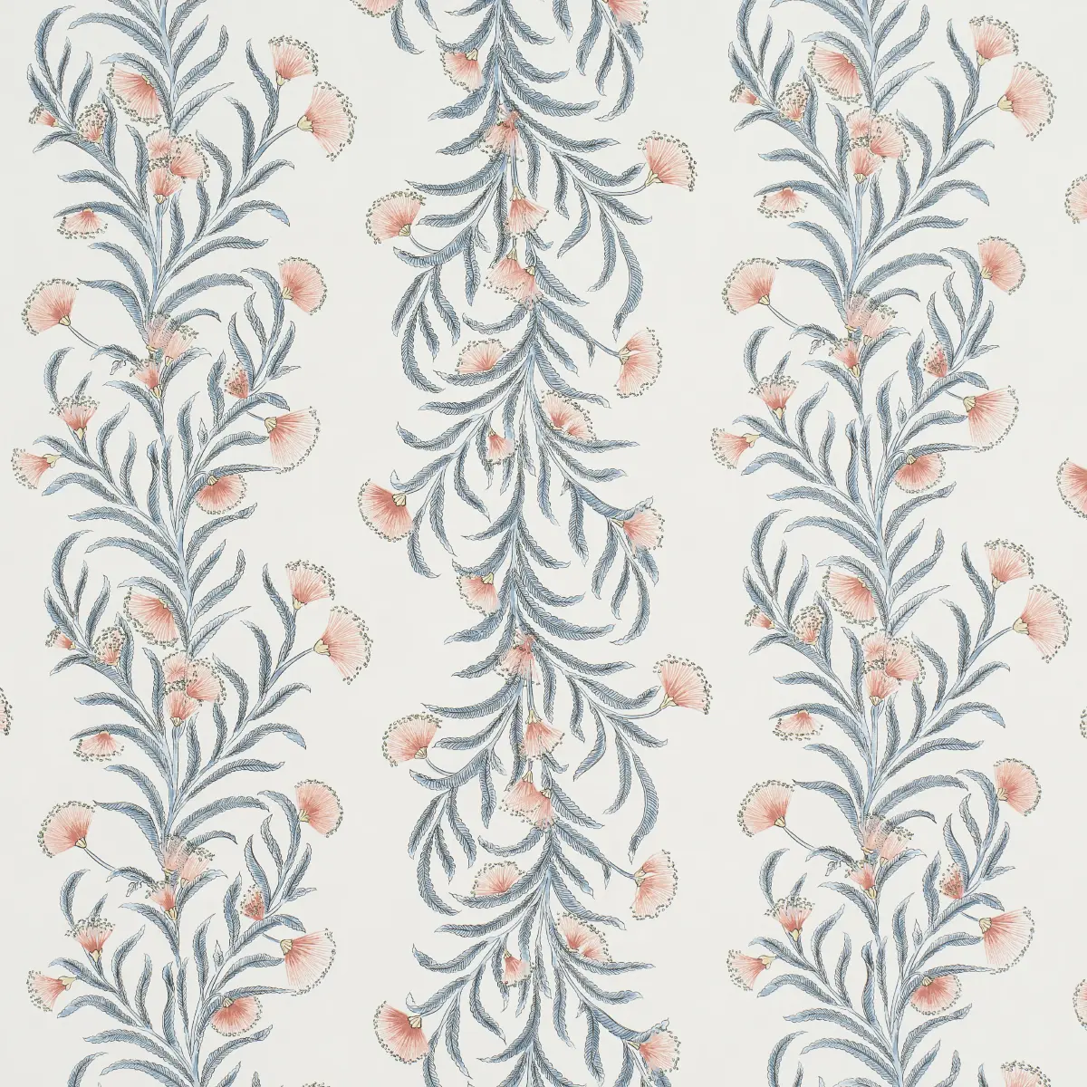 TASMANIAN MIMOSA_ PINK & GREY