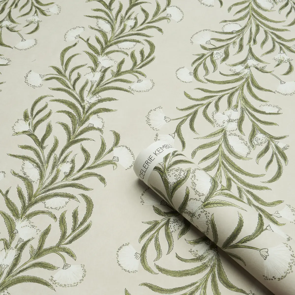 TASMANIAN MIMOSA_ IVORY & GREEN